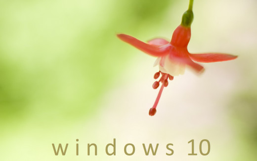 1165511 (a): :1920x1200